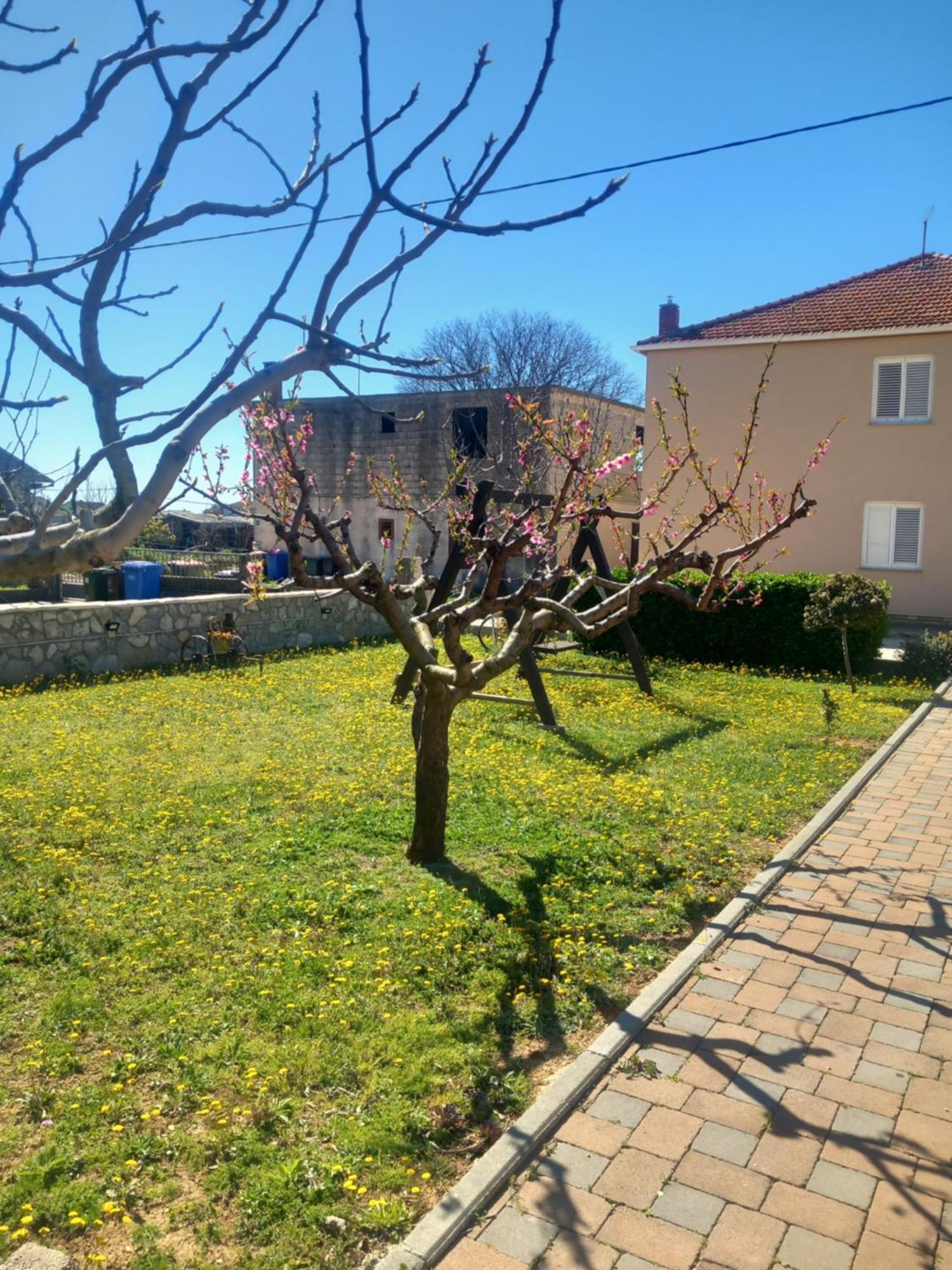 Apartmani Goga Биоград на Мору Екстериор снимка
